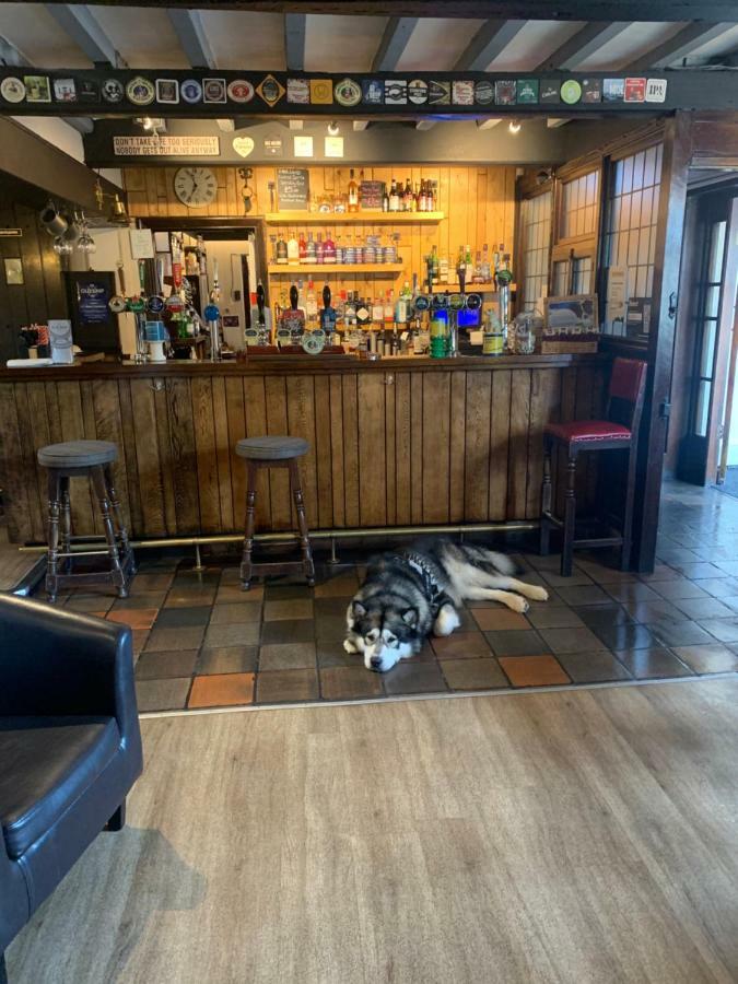 The Old Ship Inn Lowdham Buitenkant foto
